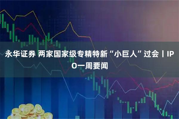 永华证券 两家国家级专精特新“小巨人”过会丨IPO一周要闻