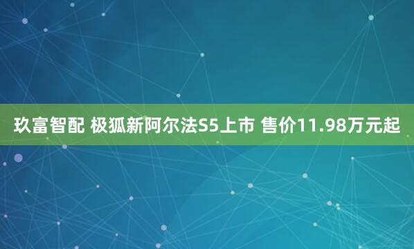 玖富智配 极狐新阿尔法S5上市 售价11.98万元起