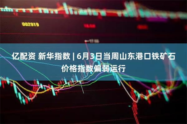 亿配资 新华指数 | 6月3日当周山东港口铁矿石价格指数偏弱运行