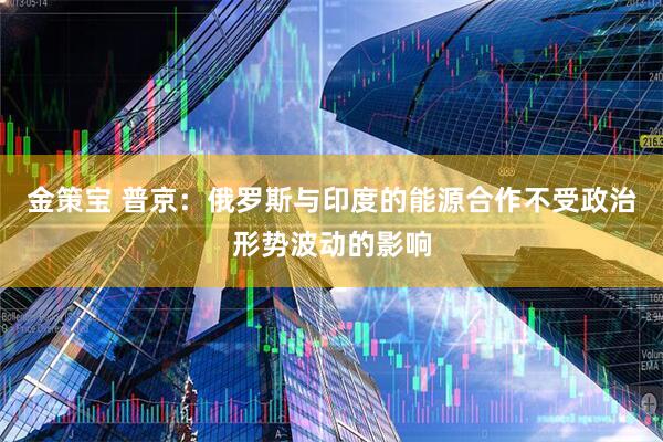 金策宝 普京：俄罗斯与印度的能源合作不受政治形势波动的影响