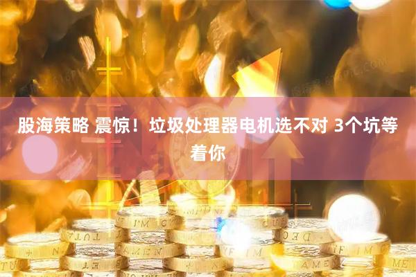 股海策略 震惊！垃圾处理器电机选不对 3个坑等着你